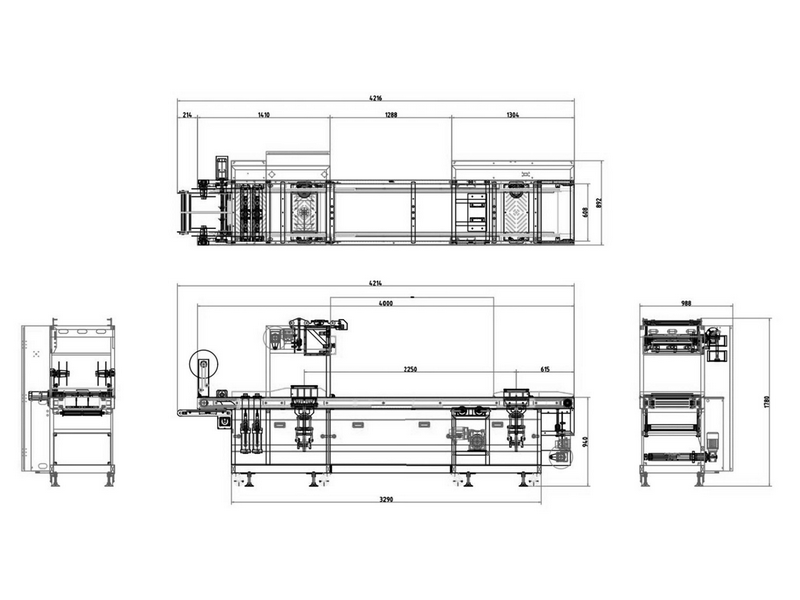 RS-420 Thermoforming Vacuum Packaging Machine